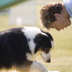 PawEase Soothing Paw Lotion